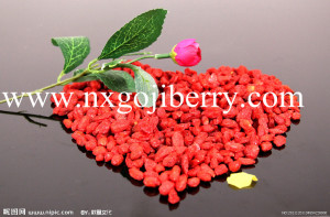High Quality Dried Chinese Medlar Fruit